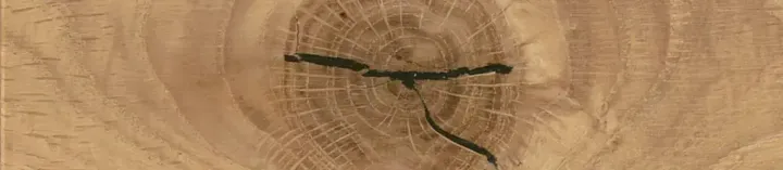 Andiamo 3.0 von Venjakob | Wohnen