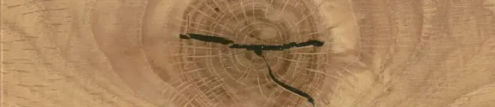 Andiamo 3.0 von Venjakob | Wohnen